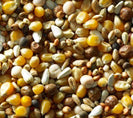 Light Speed 20kg (April - Sept)