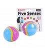 Five Senses Sensory Ball