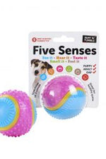 Five Senses Sensory Ball
