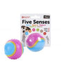 Five Senses Sensory Ball