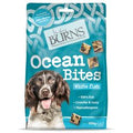 Burns Treat Ocean Bites