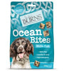 Burns Treat Ocean Bites