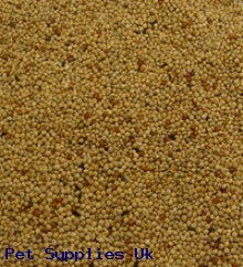 Pallet of Foreign Finch Mix 50 x 20kg Sacks