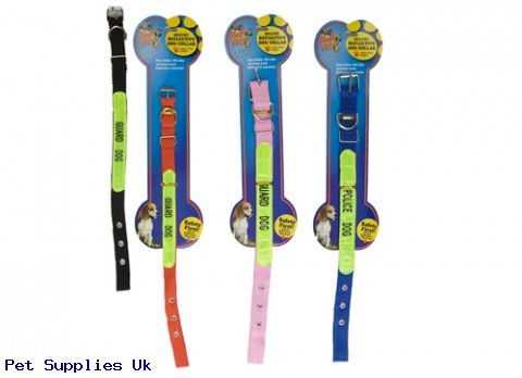 PET COLLAR W/NEON PANEL  2 ASST WIDTH 2CM/2.5CM