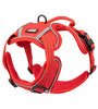 KONG Control Harness Large Red